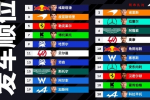 F1阿布扎比站发车顺位：维斯塔潘、诺里斯头排，皮亚斯特里第二排