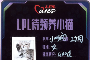 LPL官方回应全明星公益中粉丝领养“病猫”：已经关注 并全面救治小猫