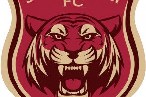 东体：浙江将拥有一超一甲二乙4支男足职业队 宁波已计划改造专足