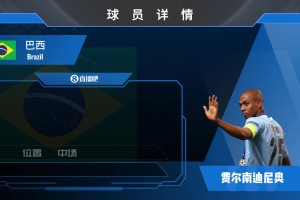 再见费鸟!曼城功勋中场费尔南迪尼奥宣布退役!欣赏下他的赛场瞬间