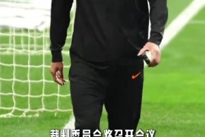 中国唯一连续两届参加世界杯的男人！马宁入选世界杯候选裁判培训